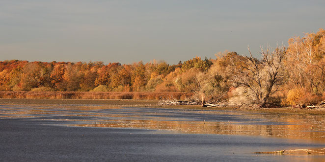 Erichkircher Ried - Foto: Kersting