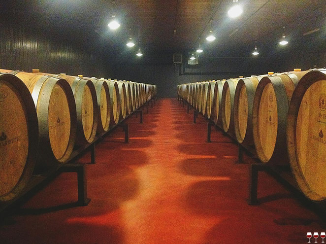 Lungarotti, Torgiano, Itinerari di vino. Umbria, Italy. Foto Blog Etesiaca