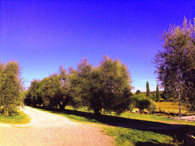 Valdorcia, Toscana, Italia. Itinerari di vino. Blog Etesiaca