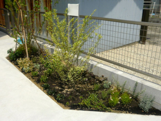 名古屋市G邸造園工事