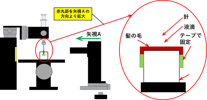 毛髪を側面方向より測定した場合のイメージ図