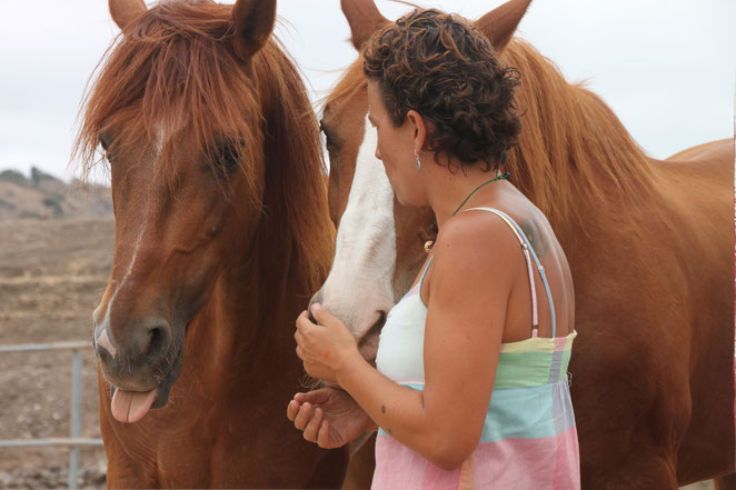 Terapia personal con caballos