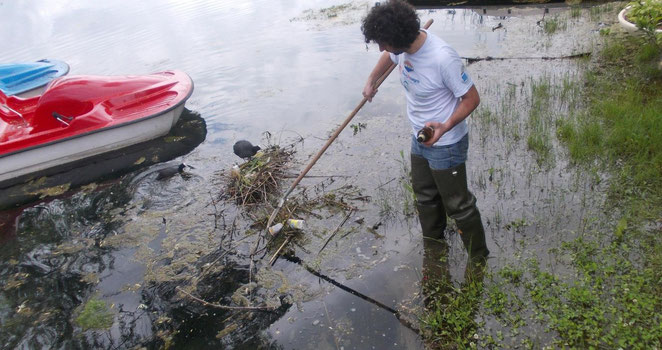 Uno degli studenti che pesca con il retino rifiuti aggrovigliati nella vegetazione. Nell'altra mano mostra una bottiglia di vetro ripescata