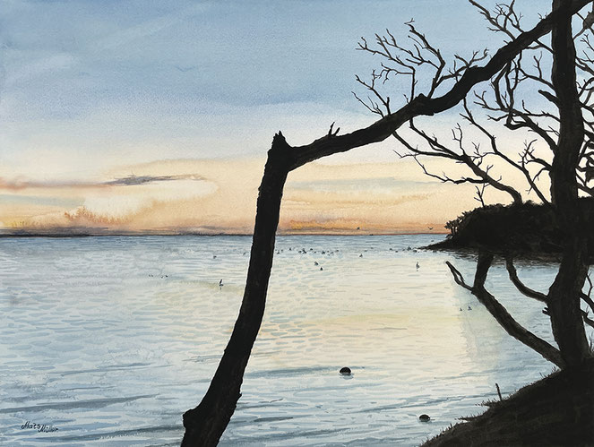 Mats Müller, fågel, blåhake, 