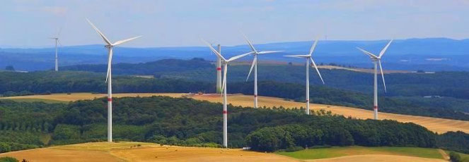 Foto Pixabay Dieter444