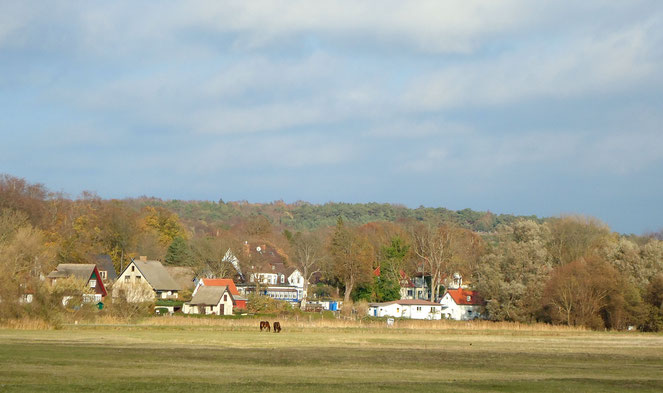 Insel Hiddensee | Kloster mit Pferdeweide und Häusern