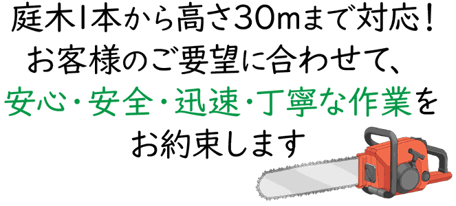 庭木1本から高さ30mまで対応！ お客様のご要望に合わせて、 安心・安全・迅速・丁寧な作業を お約束します