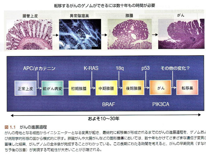 「デヴィータ がんの分子生物学」より