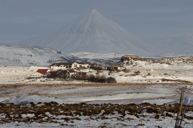 Iceland,winter,landscape,snow,mountain,farm,house