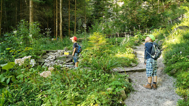 Der Pidinger Bergblumengarten