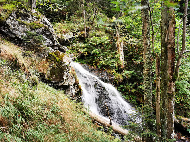 Einer der vielen Wasserfälle im Höllbachgespreng