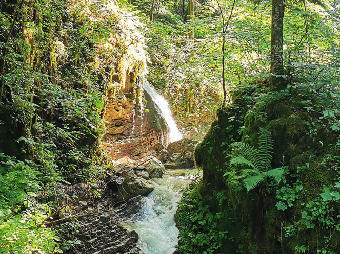Ein Wasserfall schöner als der andere: Die Hammererbachklamm