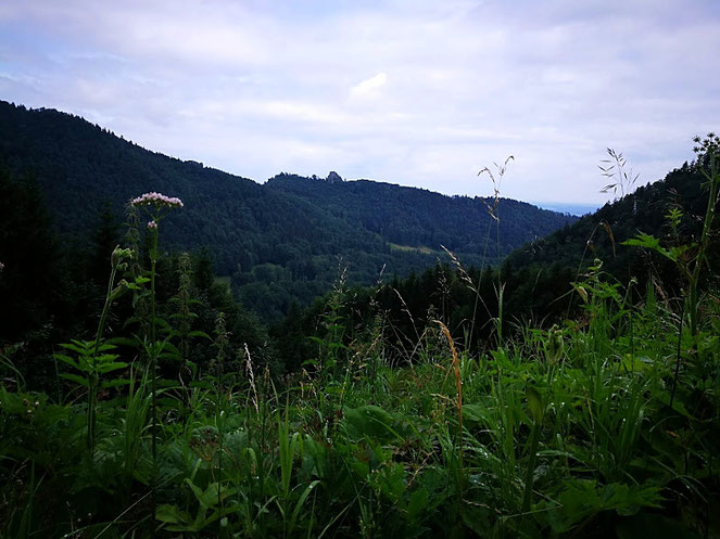 Blick auf den Engelstein