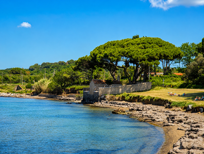 Golf von Baratti bei Populonia: Pinien und Strandabschnitt mit türkisblauem Meer