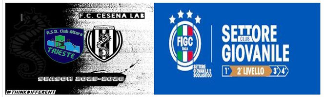 Società calcio giovanile