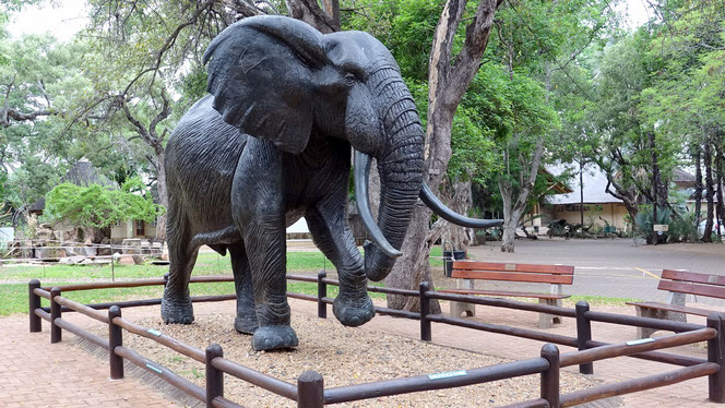 Le superbe musée de l'éléphant à Letaba