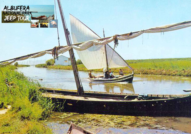 The Latin sail is one of the traditional forms of navigation common to the entire Mediterranean, with a considerable impact on the Valencian lands and, particularly, in L'Albufera, where since ancient times it has been used as a means of transport linked 