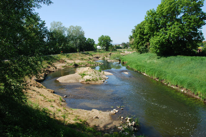 Fischtreppen Dürig Gärten