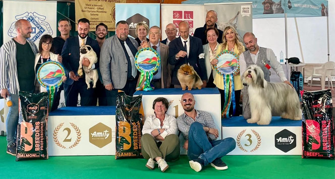BIS Esposizione Nazionale Montecorvino Pugliano 03 mag 2026 - ESPOSIZIONE NAZIONALE NAPOLI
