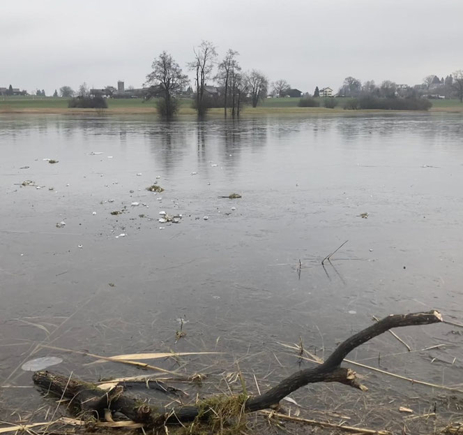 (Bild: buebikernews)