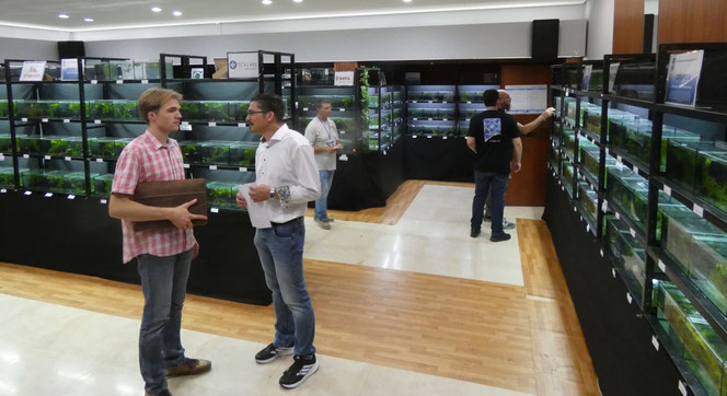 Fischausstellung im 'Hotel dos Cavaleiros'