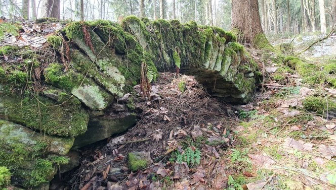 Wie ein Denkmal aus längst vergessener Zeit erinnert dieser Steinbogen an eins der Bornwaldhäuser. Er wirkt so standhaft wie die Bäume daneben. Foto: Andreas Bauer