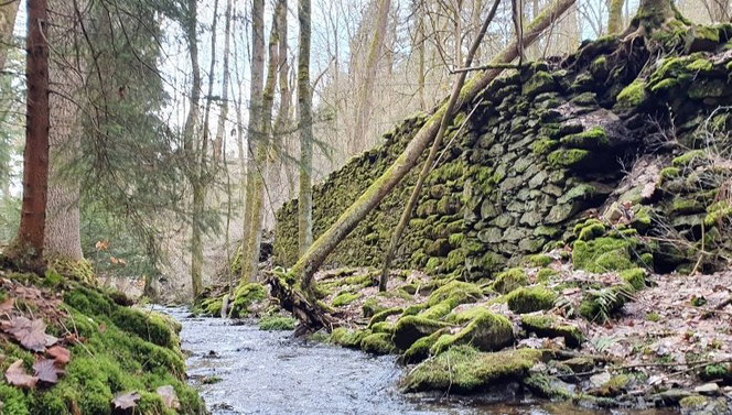 Auch an dieser Mauer entlang des Schwarzbachs hat der Zahn der Zeit kaum genagt. Das Wasser war wichtig für die vielen Mühlen im Bornwald. Foto: Andreas Bauer