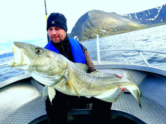 Skrei Norwegen Nordkap Angeln