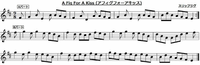 初心者向け】アイルランド(アイリッシュ/ケルト)音楽の定番曲 初心者向け】アイルランド(アイリッシュ/ケルト)音楽の定番曲