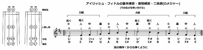 音階 ニ 長調