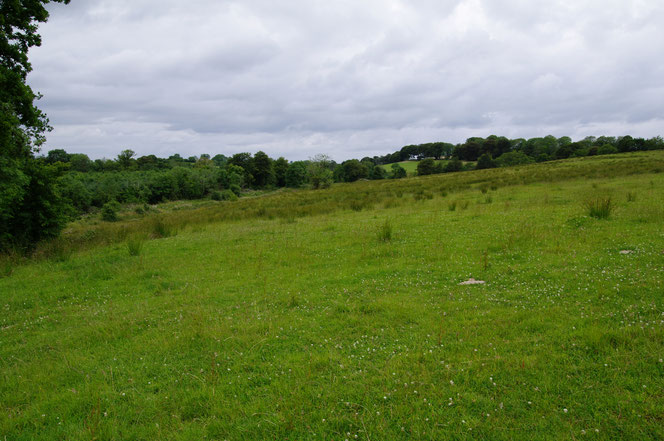 アイルランド 自然 風景