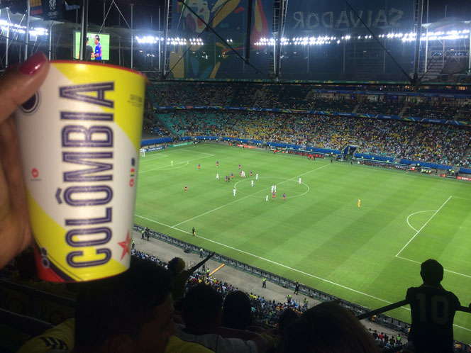Si l'Arena Fonte Nova n'était pas tout à fait pleine avec 35 000 spectateurs environ, l'ambiance était quand même complètement au rendez-vous, contrairement à bien des matches du premier tour de cette Copa América brésilienne