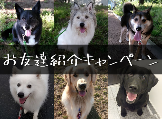 お友達紹介キャンペーン