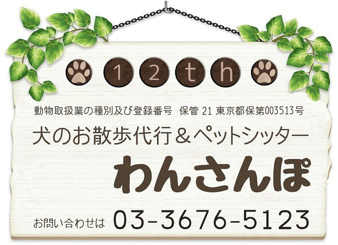 愛犬画像