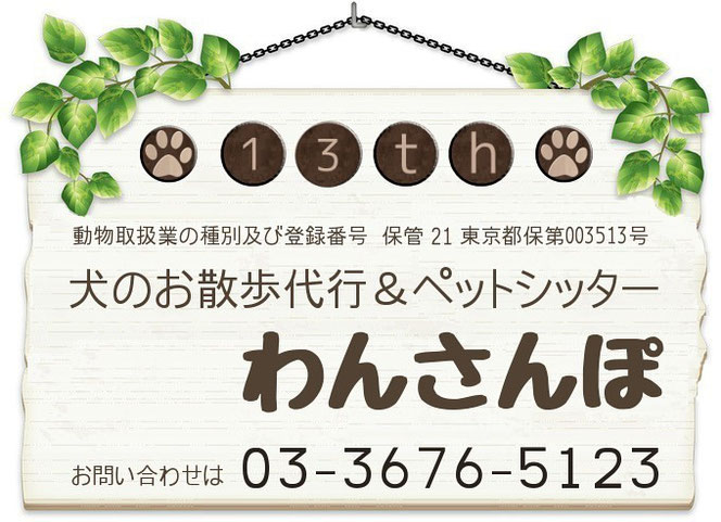 愛犬画像