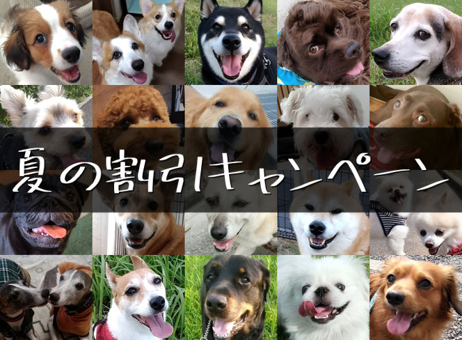 夏の割引キャンペーン