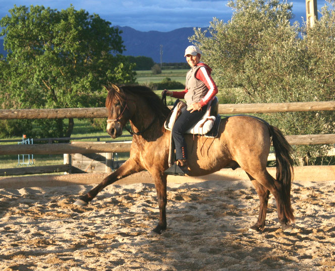 Susanne Lenk Horsemanship Doma Vaquera Doma Natural