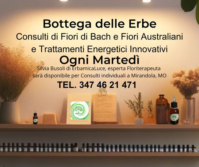 Ogni martedì ricevo per appuntamento