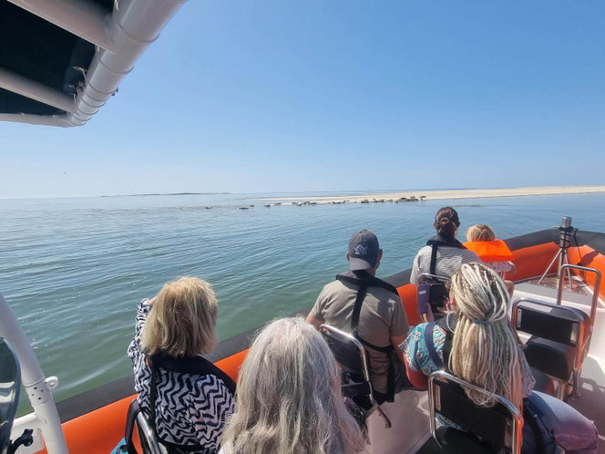 Prachtig uitzicht op de zeehonden vanaf de RIB-Boot