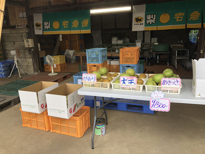 梨,新売り場