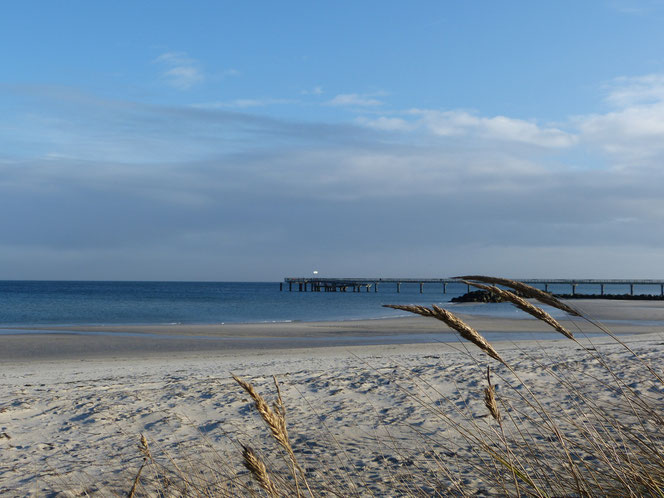               Ich begrüße Euch ganz herzlich digital aus dem Ostseebad Schönberg! 