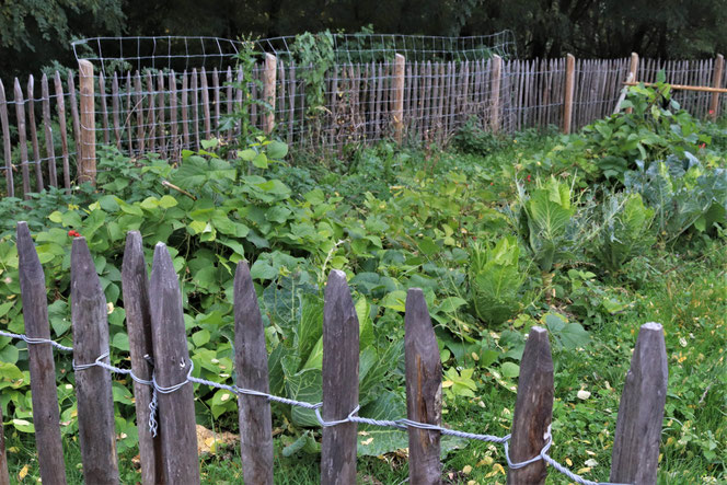 Garten vom Stiegl Gut Wildshut