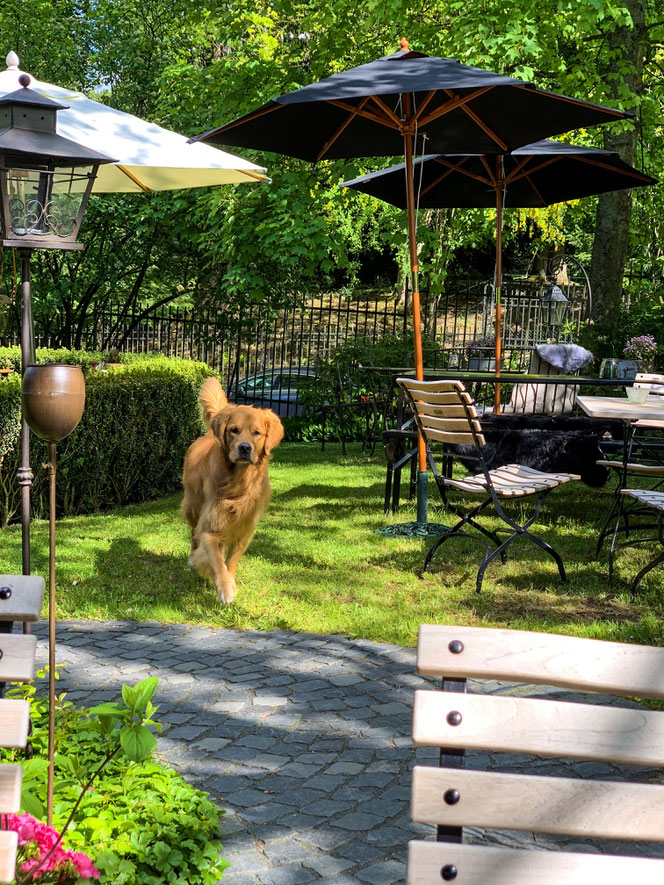 Villa Momo - inspiredbybadnauheim