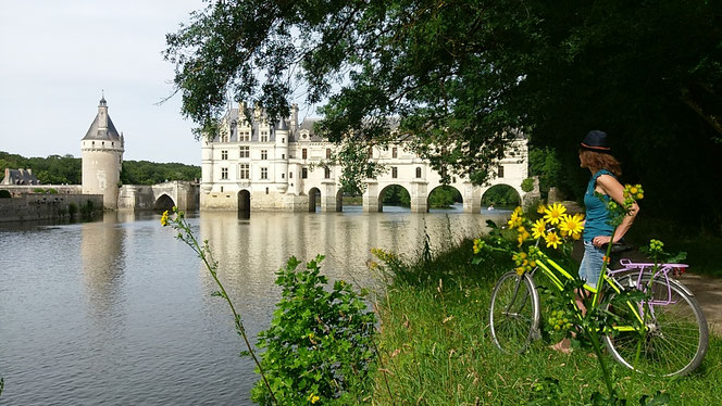 Cher a Velo Loire a Velo Ruelle des Jardins Gite Cosy en Touraine 5 pers