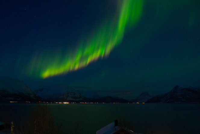 Northern Lights