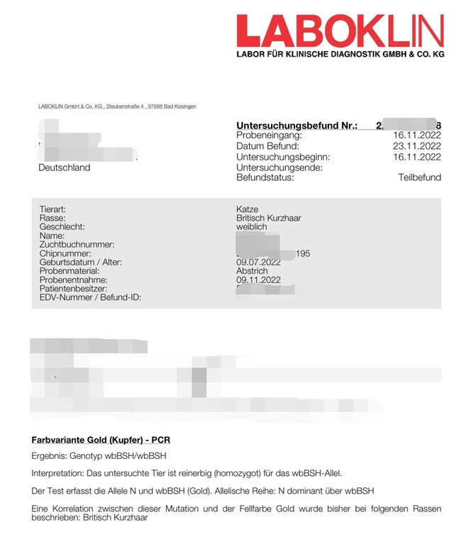 Screenshot: Laboklin.com, Test auf Farbvariante GOLD bei BKH/BLH wird seit 07/2022 von Laboklin angeboten