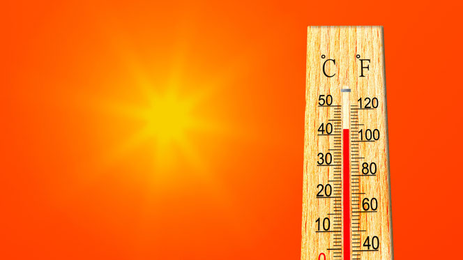 42,6 Grad – in Lingen wurde eine historische Rekordtemperatur gemessen. Quelle: WetterOnline 