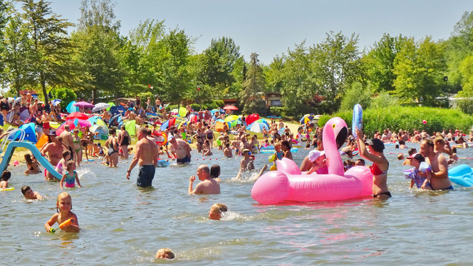 Foto: Der Löderburger See am 30. Juni 2019