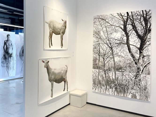 Art on Paper Amsterdam, February 2025