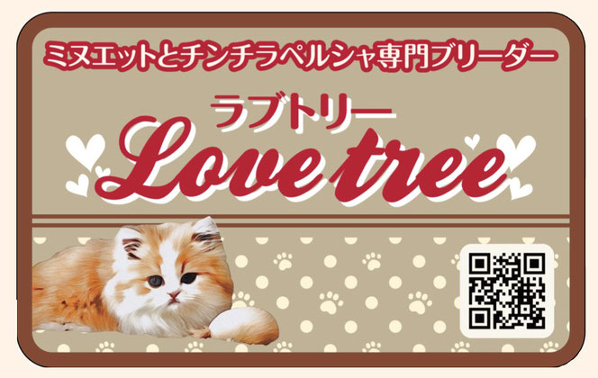 lovetree  ミヌエット　minuet　広島　猫　ブリーダー　ミヌエットブリーダー